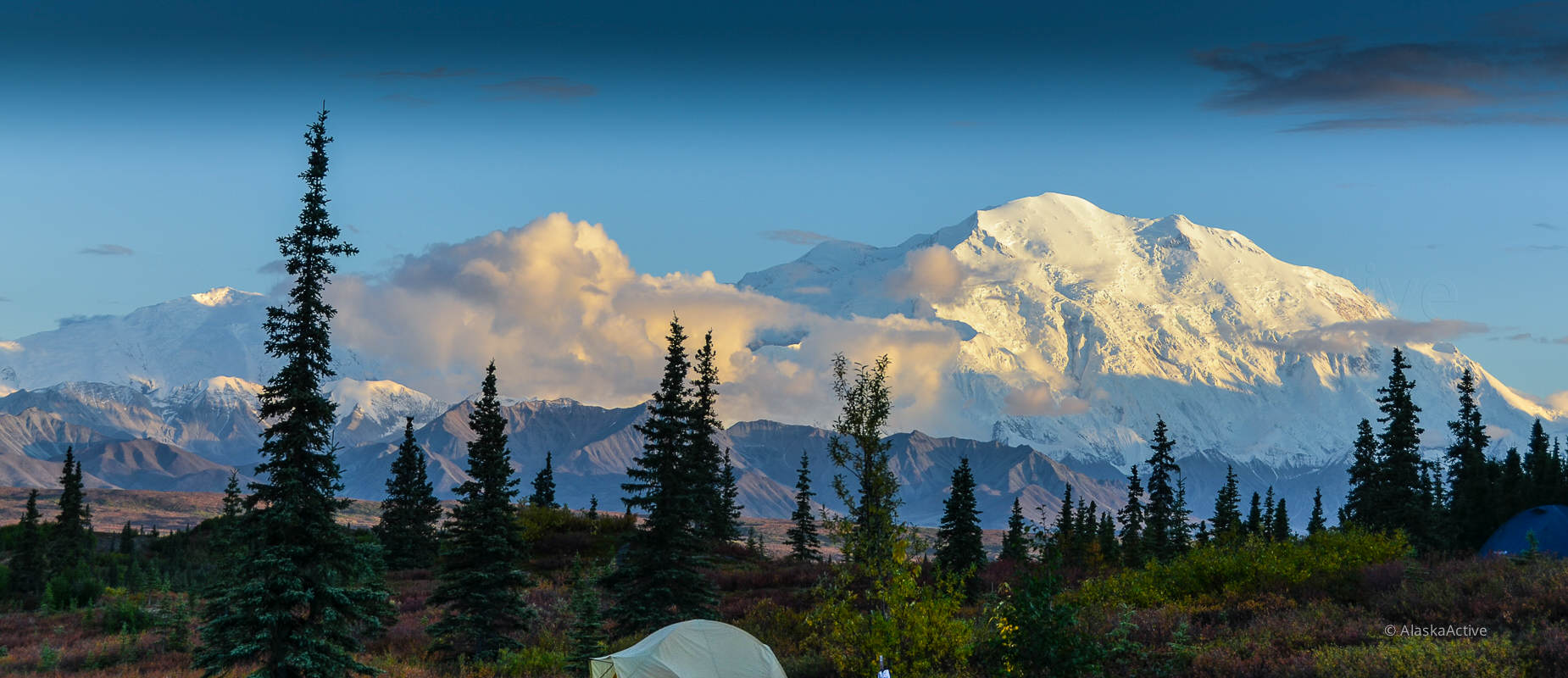 Slide #1 copy Slide background